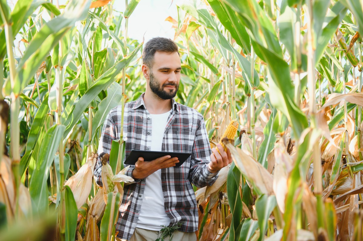 UE chce więcej osób do pracy w rolnictwie. Szykuje zachęty dla młodych