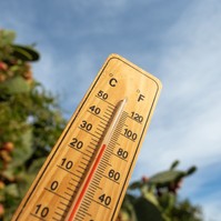Az átlagosnál kissé melegebb és szárazabb volt az augusztus