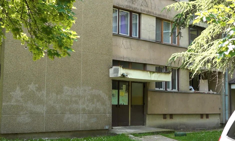 Slađa Alegro, emisija "Metar moga sela"