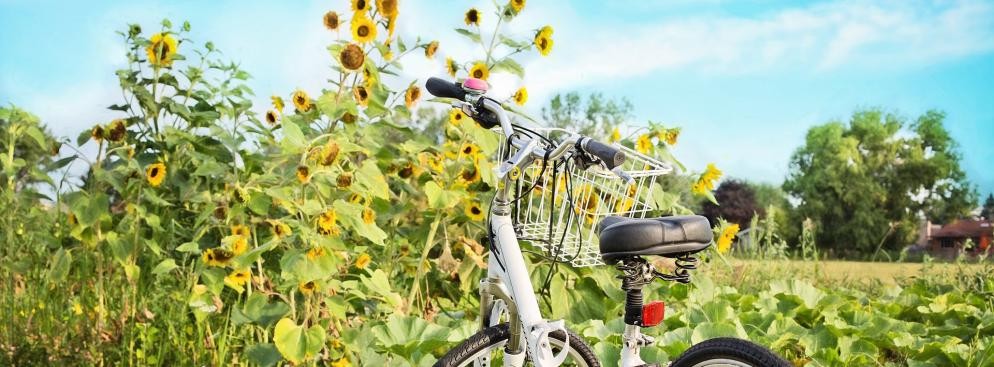 <strong>Morawska Trasa Winiarska (Czechy)</strong>
<br></br>
Trasa rowerowa położona na południowych Morawach rozpoczyna swój bieg 
w miejscowości Uherské Hradiště, aby po ok. 300 km dotrzeć do Znojmo, tuż przy granicy czesko-austriackiej. Po drodze mijamy dziesiątki urokliwych zameczków i co najważniejsze – niezliczoną ilość miejscowości, gdzie od lat uprawiane są winorośla. Po całodziennym wysiłku warto wstąpić do jednej z nich na krótką degustację tego, co w regionie najlepsze. 
<br></br>