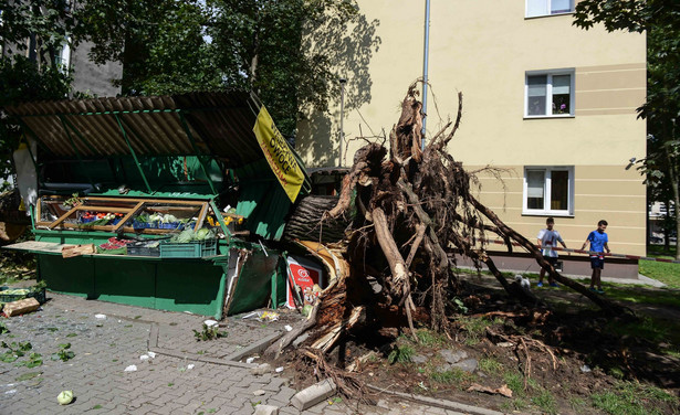 Pięć dni po burzy, a oni wciąż bez prądu. "Lodówka nie działa, telefon ładuję w aucie, a woda jest tylko zimna"