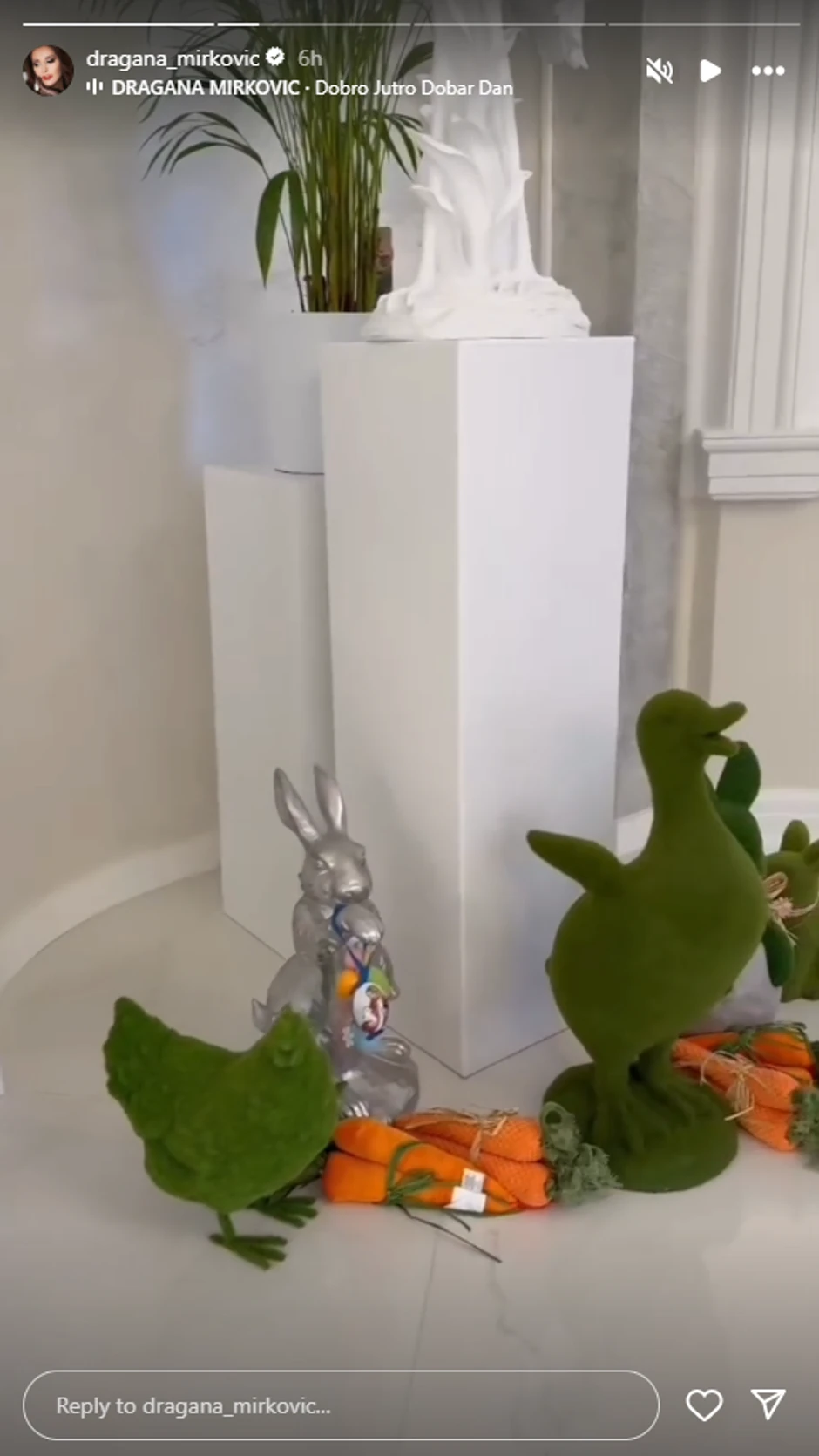 Dragana Mirković, objava na Instagramu