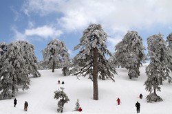 Pogoda na Święta. Odwilż i marznący deszcz