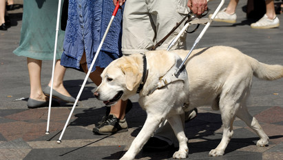 Vakvezető kutyája miatt nem lehet kollégista a látássérült lány