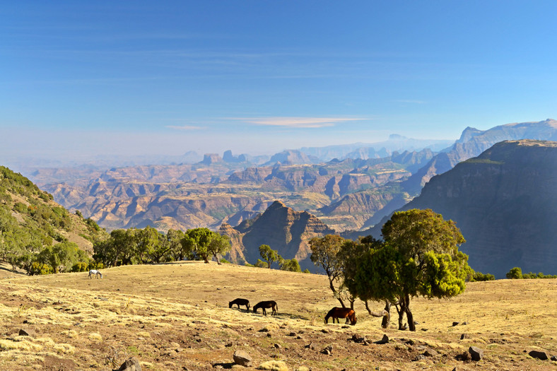 Etiopia, góry Semien