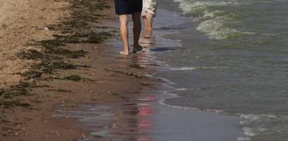 Zakaz kąpieli na 11 plażach w Trójmieście. Pojawiły się sinice