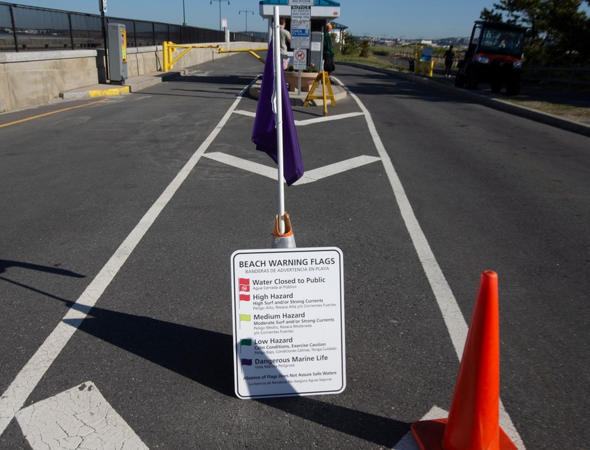 Upozorenje na meduze u Nahantu u Masačusetsu