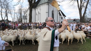 Juhasi rozpoczęli sezon pasterski. Mają jednak rosnący problem