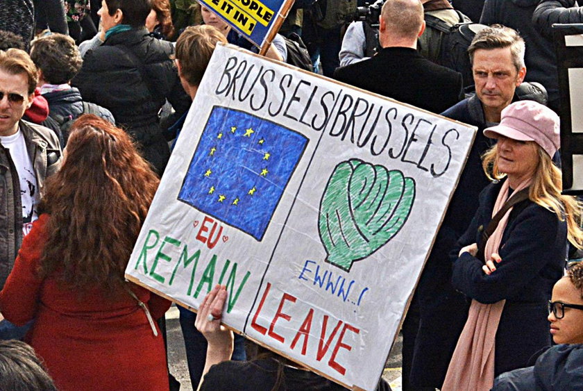 Brussels – remain. Brussels – ewww! / Leave Bruksela – zostajemy. Brukselka – fuj! Zostawiamy