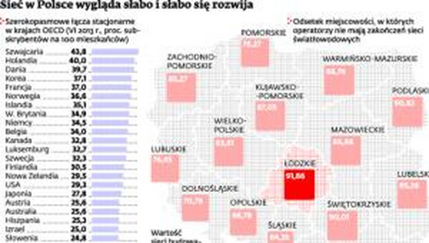Sieć w Polsce wygląda słabo i słabo się rozwija