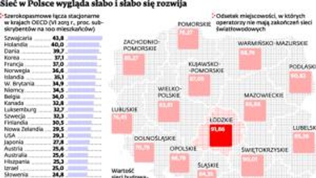 Sieć w Polsce wygląda słabo i słabo się rozwija