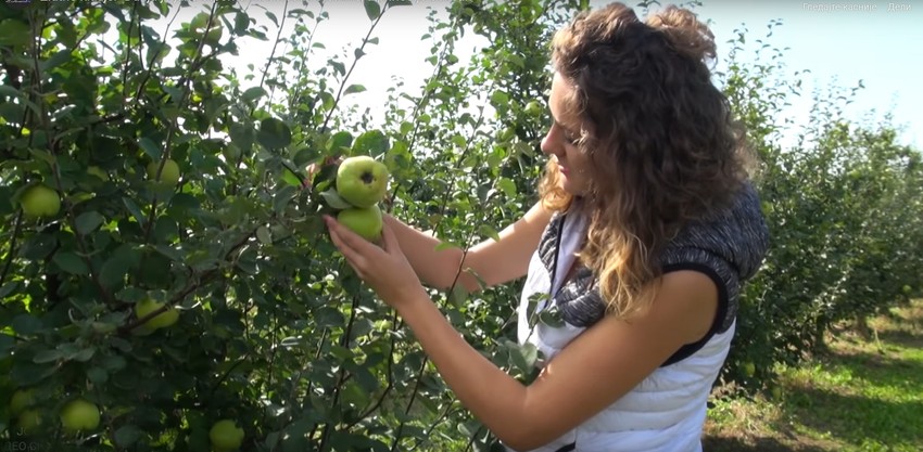 Ivana i Matija Panić