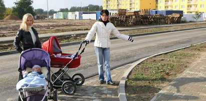 Poznań: Szef ZDM zasieje trawę na zimę