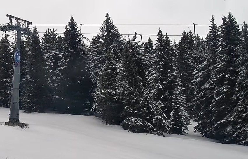 Kopaonik