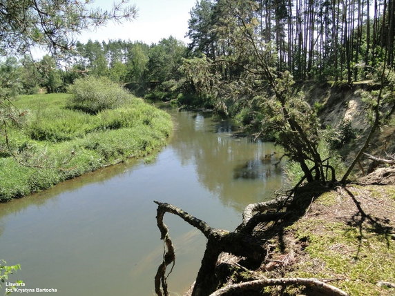 Rzeka Liswarta, Park Krajobrazowy "Lasy Nad Górną Liswartą"