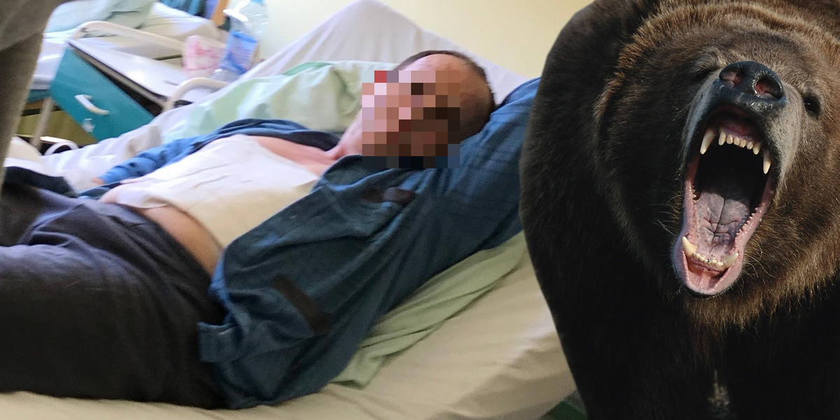Brutalny atak niedźwiedzia! 57-latek przeżył, bo go oszukał