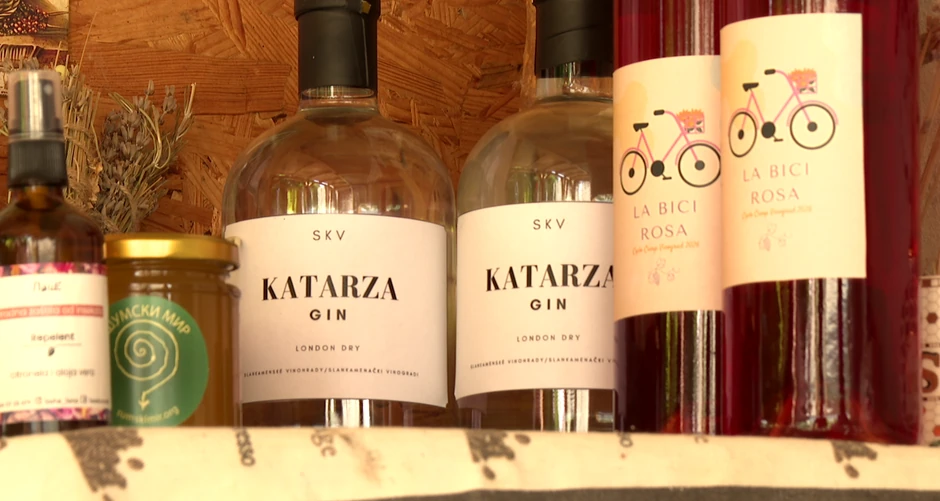 Aleksandra Cvetković, Ciklo kamp Vinograd 