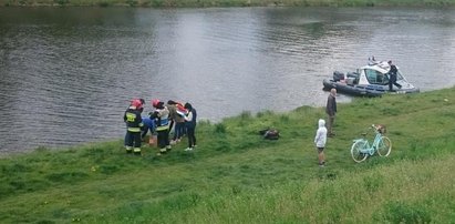 Co się dzieje z psami w Opolu? Dwa wyłowiono z Odry