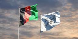 Afganistan: Talibowie zajęli Herat, trzecie pod względem wielkości miasto w kraju