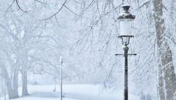 Ferie zimowe 2026 wystartowały. O tych obowiązkach muszą pamiętać organizatorzy