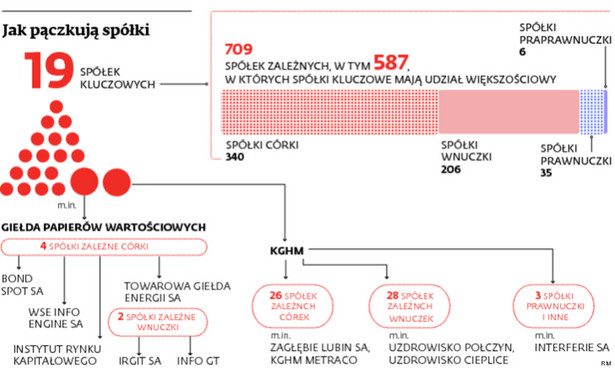 Jak pączkują spółki