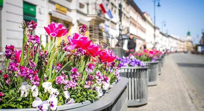 Dzięki kwietnikom hybrydowym sezonowe kwiatowe kompozycje są nie tylko mniej kosztowne, ale też cały czas atrakcyjne.