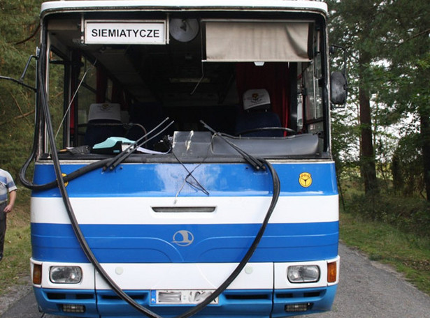 Łoś ranił kierowcę i wyskoczył z autobusu