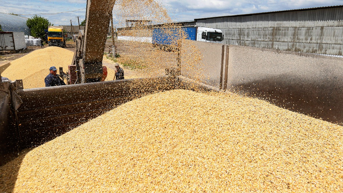 Volodimir Zelenski cere României și altor vecini ai Ucrainei să lase cerealele să tranziteze teritoriul lor