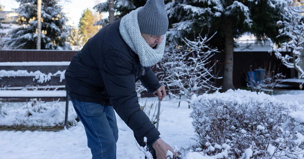 Działkowcy alarmują ws. "stopniowej likwidacji ROD". Zaapelowali do rządu