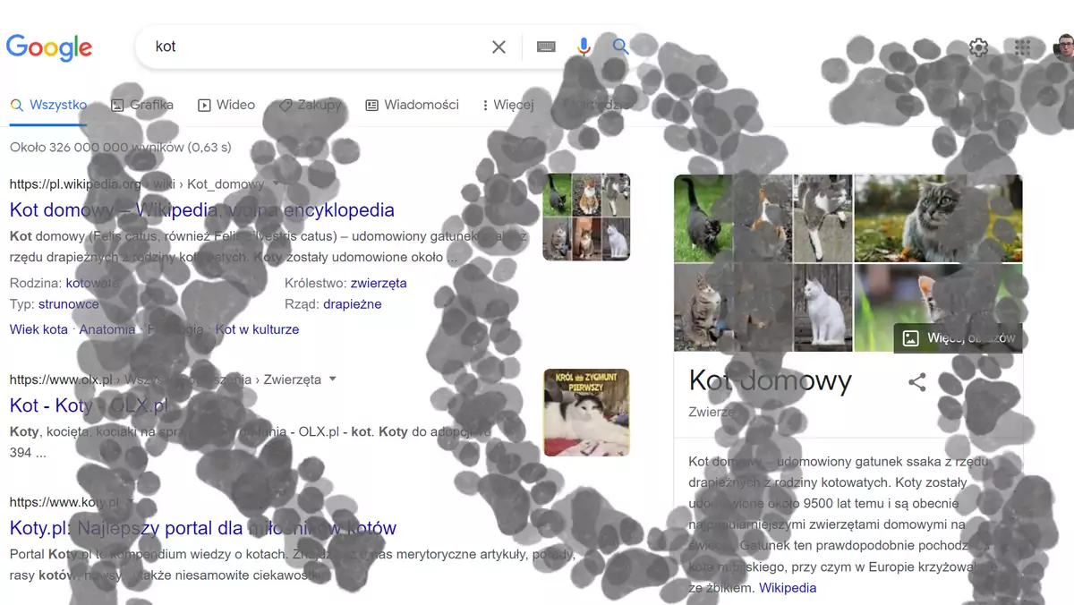 Niespodzianka w wyszukiwarce Google