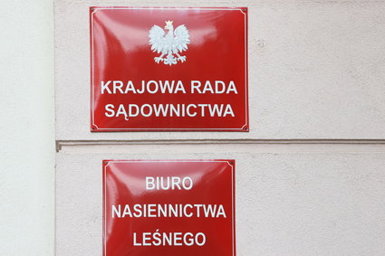 Nowy Sejm wybierze członków KRS. Znamy kandydatów