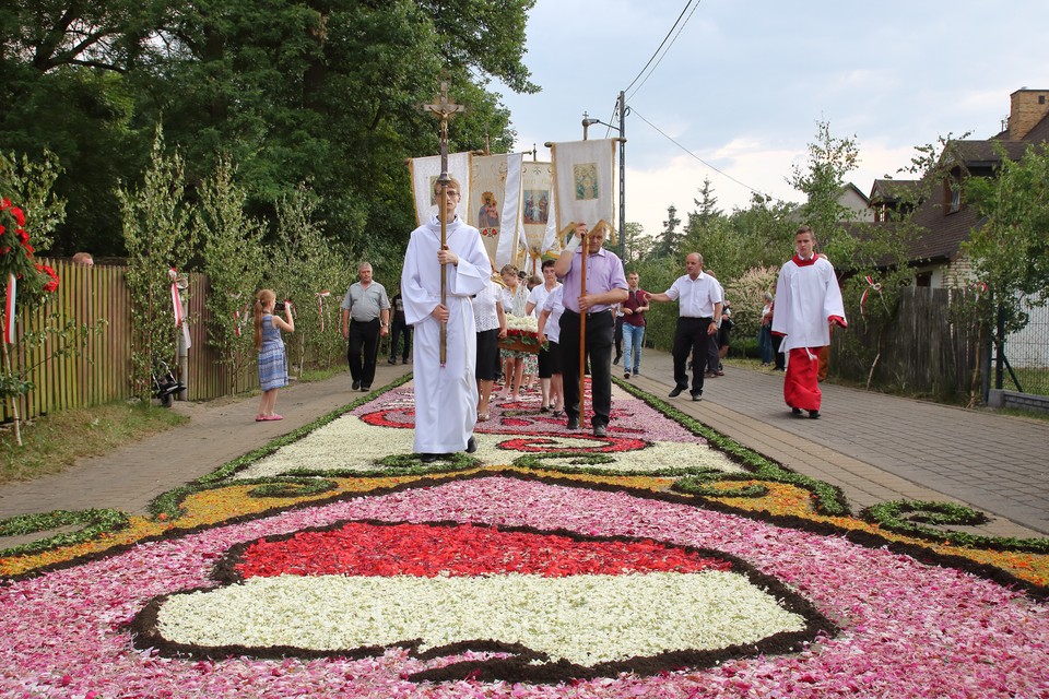 Tradycja dywanów kwiatowych na procesje Bożego Ciała, Spycimierz