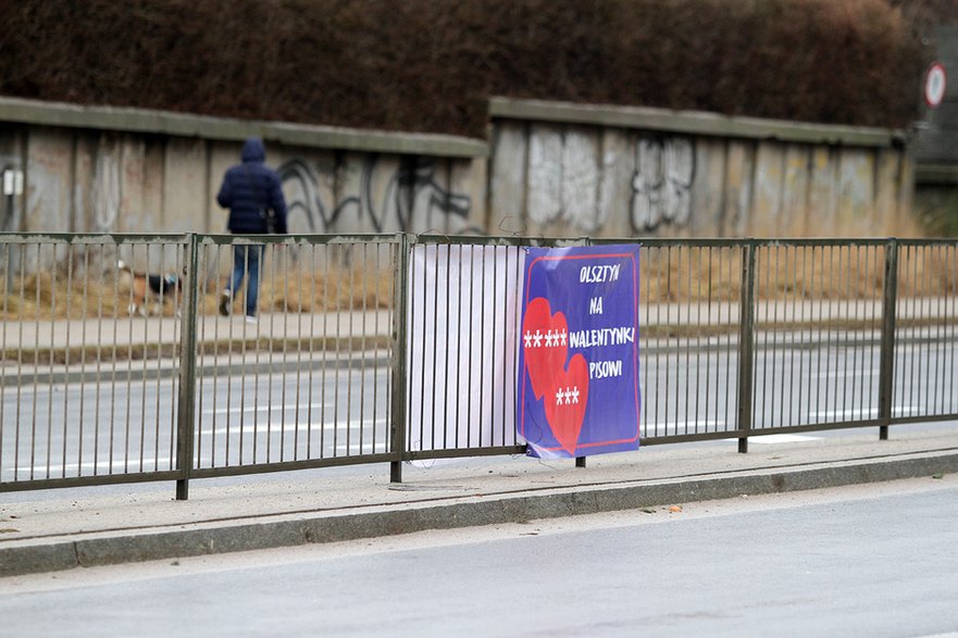 Znowu to zrobili. ''Olsztyn na walentynki PiS-owi'' [ZDJĘCIA]