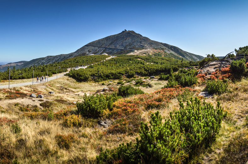 Śnieżka, Karkonosze