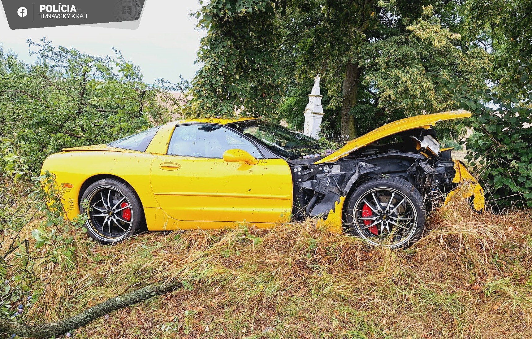 Vodič športového auta skončil na Záhorí v strome, potreboval ošetrenie.