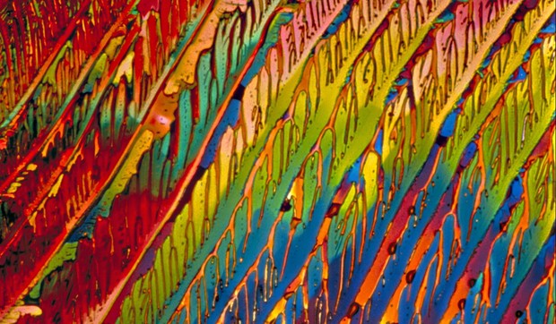 droge pod mikroskopom02 foto profimedia