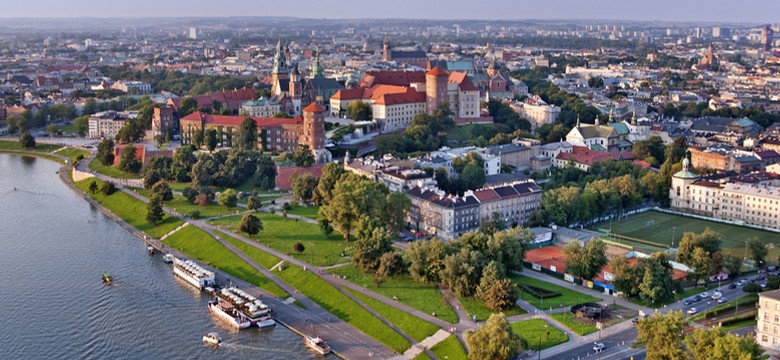 Mieszkanka oburzona kolejną wycinką drzew