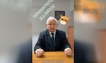 Jarosław Kaczyński rzuca wyzwanie premierowi Morawieckiemu. Na Tik Toku