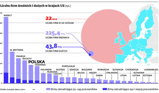 Liczba firm średnich i dużych w krajach UE