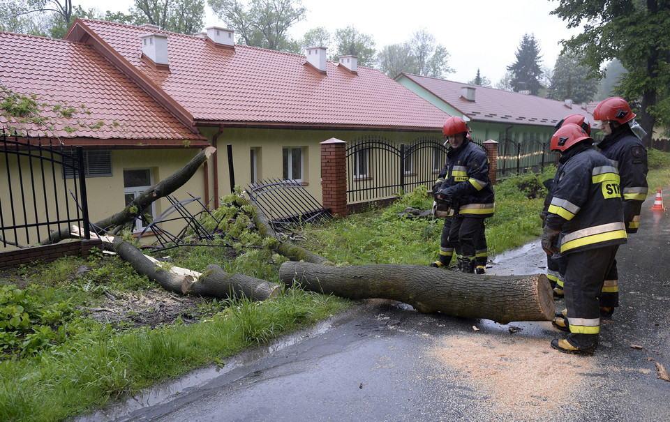 Strażacy usuwają drzewo, które wiatr powalił na drogę i ogrodzenie domu pomocy społecznej w Przemyślu
