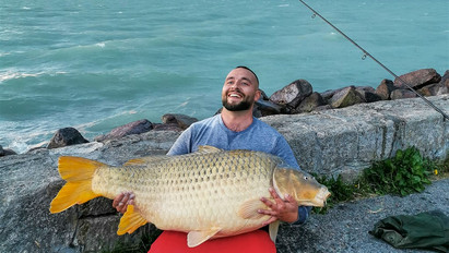 Szörny a mélyből: ez a férfi egy 30,5 kilós pontyot fogott ki a Balatonból – fotó