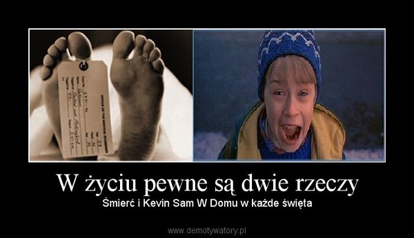 'Kevin sam w domu': najlepsze memy