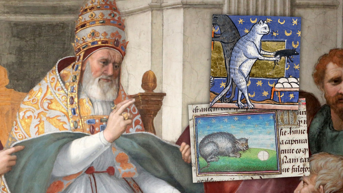 Papież Grzegorz IX wydał wielką wojnę kotom? Prawda o "kociej eksterminacji"