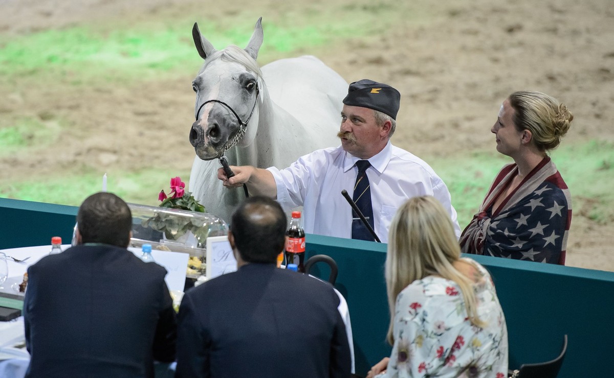 Aukcja koni w Janowie Podlaskim