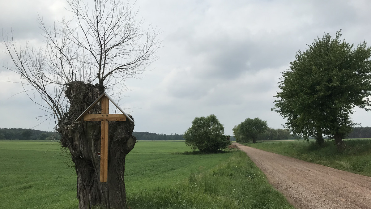 W tzw. "tęczowy piątek" część uczniów szkoły, w której uczę przyniosła ze sobą materiał z sześcioma kolorami, symbol ruchu LGBT. Jedna z osób powiedziała: "to symbol walki o uciskanego i poniżanego człowieka". Wskazałem na krzyż i powiedziałem: "Mylicie się. To jest jedyny znak walki o zdeptanego człowieka. Wszystko inne jest tylko jego imitacją" - pisze w komentarzu dla Onetu ks. Daniel Wachowiak.