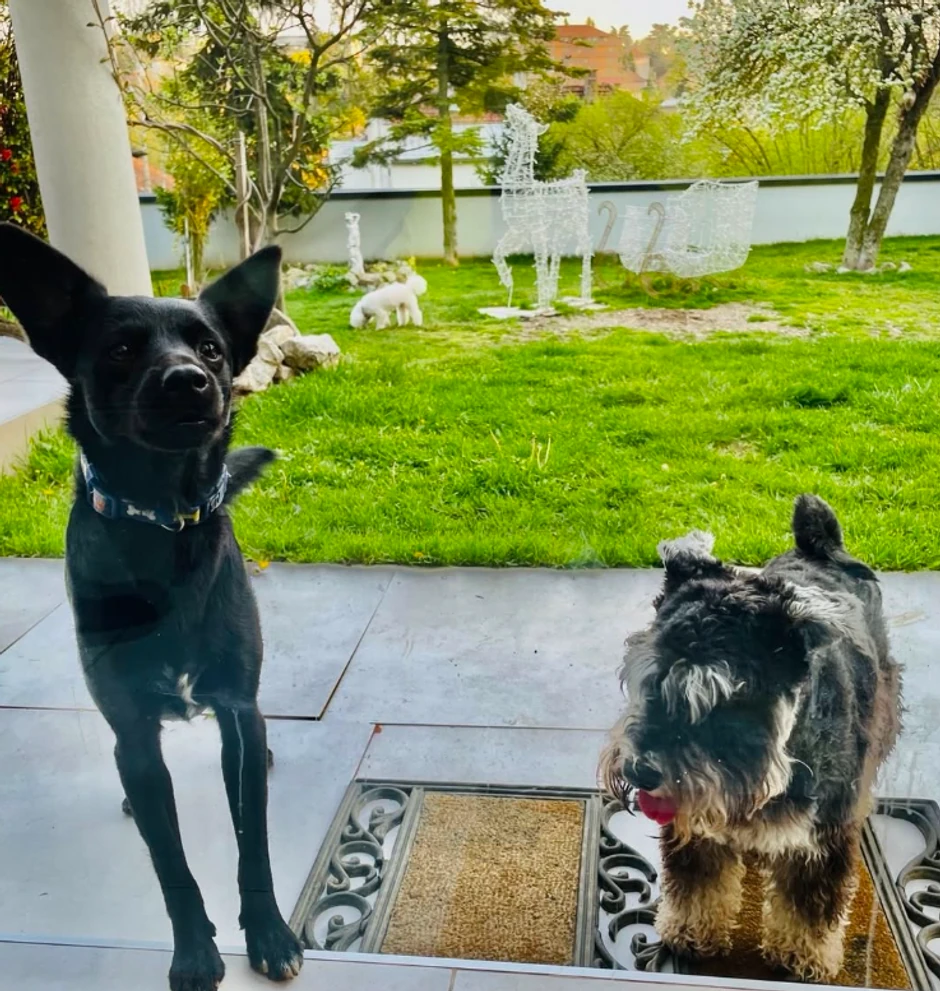 Kuća Radoša Bajića