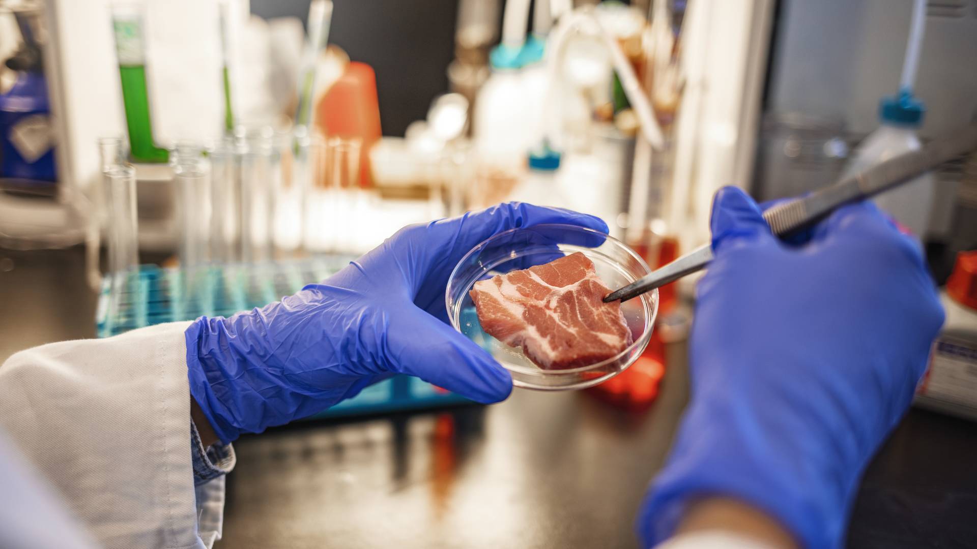 Przełom w sprawie laboratoryjnego mięsa. Produkt dostał ważny atest