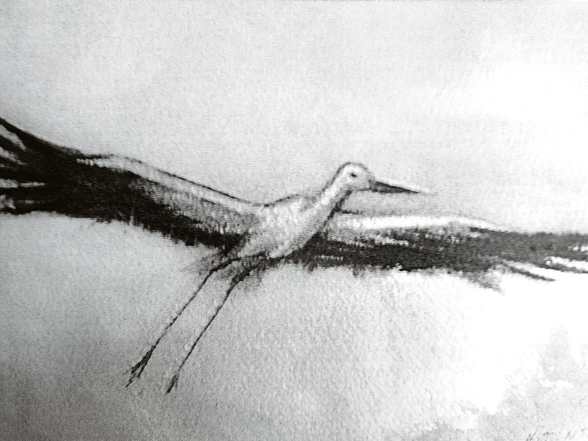 "Let života" akademski slikar Nedeljko Tintor iz knjige "Kuća sa zelenim barkodom"