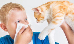 Zimowe dzieci częściej mają alergie pokarmowe