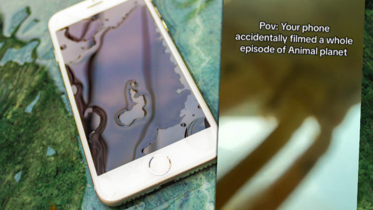 Turysta, który zgubił iPhone'a, znalazł na nim dziwne zdjęcia